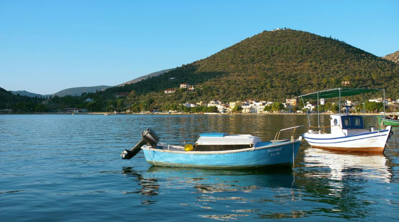 Ξενοδοχείο Ακτή Αντίκυρα Ξενοδοχείο Εξωτερικό φωτογραφία